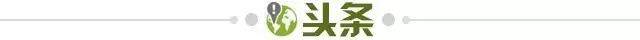 开云APP-【早报】“桃园德比”悬念留在次回合
